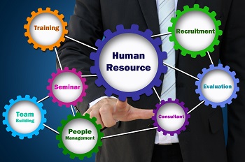 HR Consultant